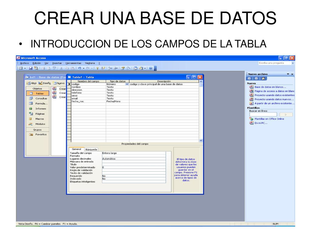 CREAR UNA BASE DE DATOS INTRODUCCION DE LOS CAMPOS DE LA TABLA