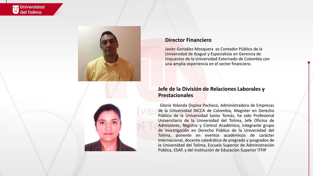 Jefe de la División de Relaciones Laborales y Prestacionales