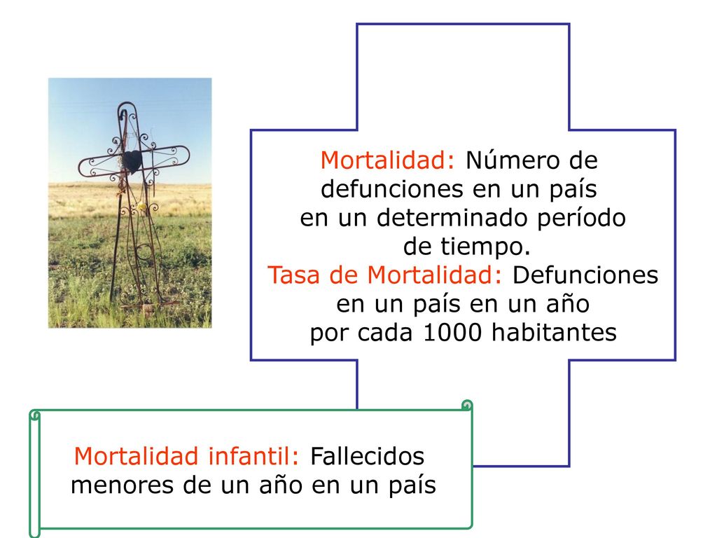 en un determinado período de tiempo. Tasa de Mortalidad: Defunciones