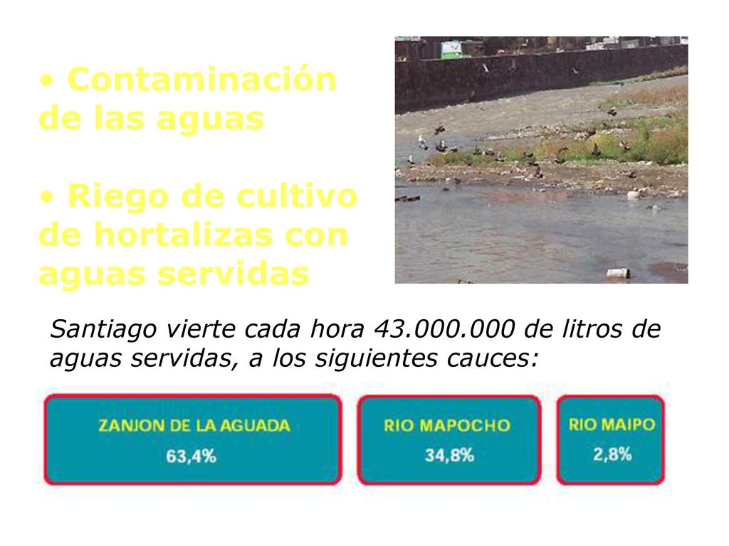 Contaminación de las aguas Riego de cultivo de hortalizas con