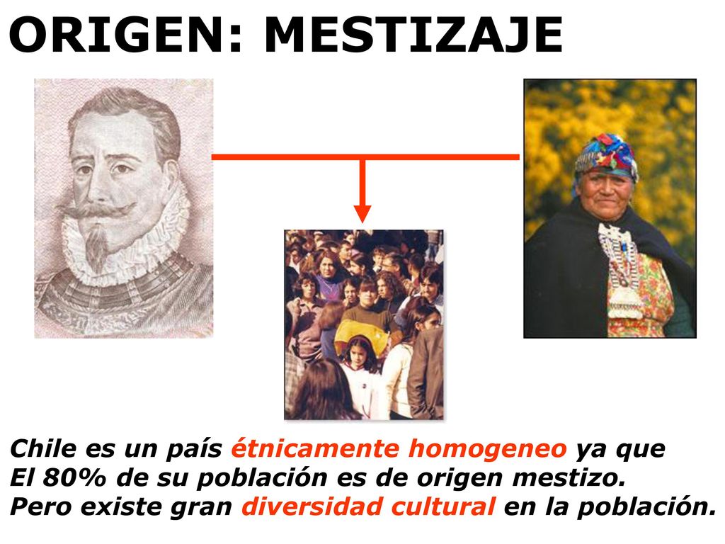 ORIGEN: MESTIZAJE Chile es un país étnicamente homogeneo ya que
