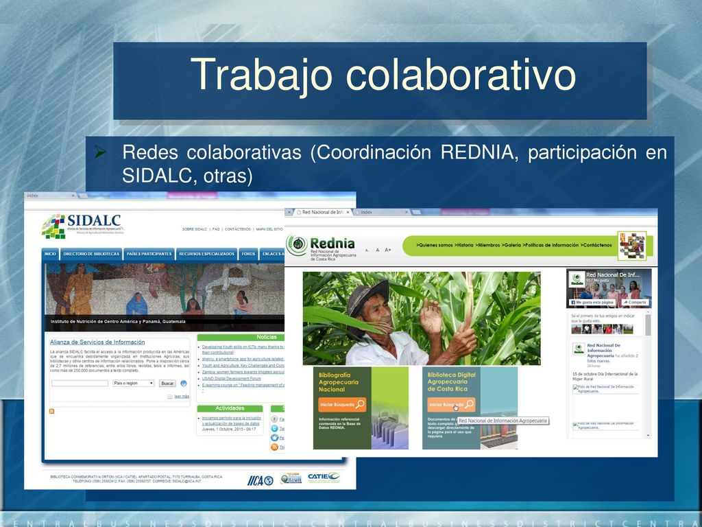Trabajo colaborativo Redes colaborativas (Coordinación REDNIA, participación en SIDALC, otras)