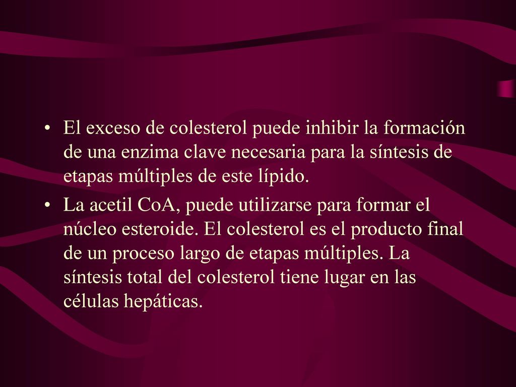 El exceso de colesterol puede inhibir la formación de una enzima clave necesaria para la síntesis de etapas múltiples de este lípido.