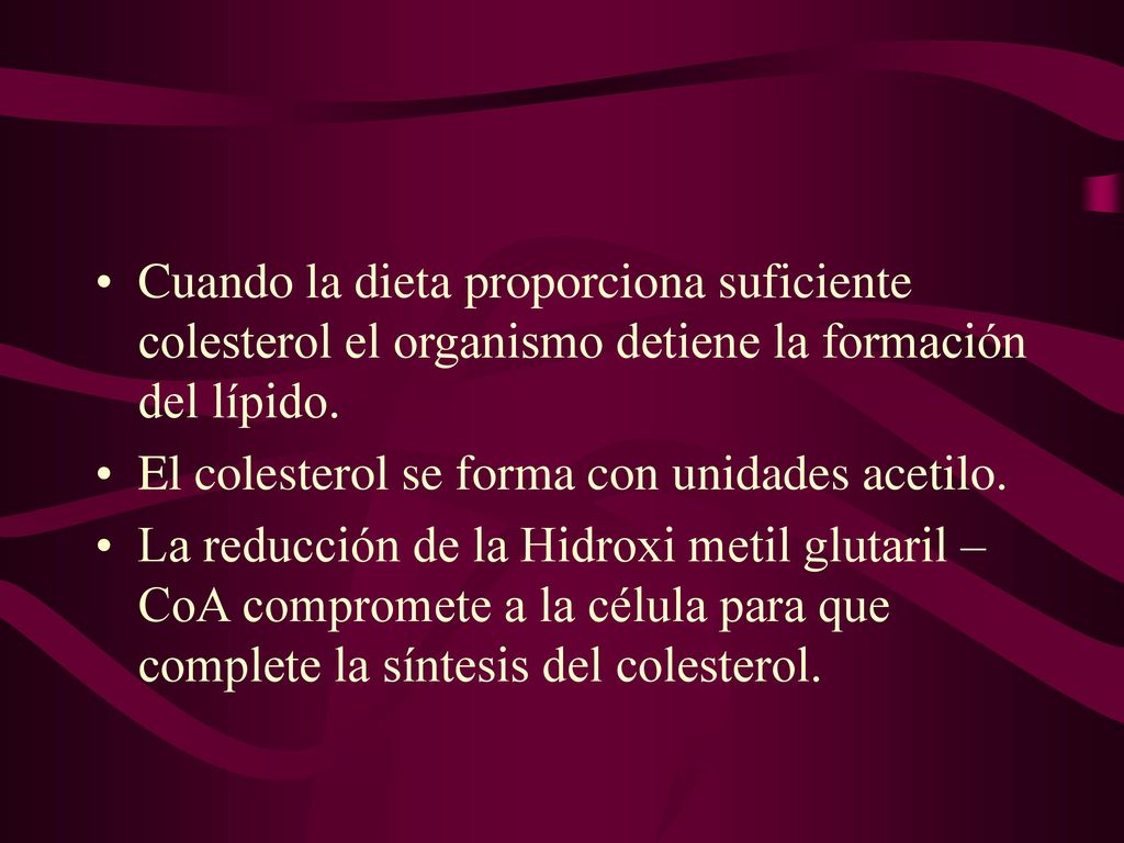 Cuando la dieta proporciona suficiente colesterol el organismo detiene la formación del lípido.