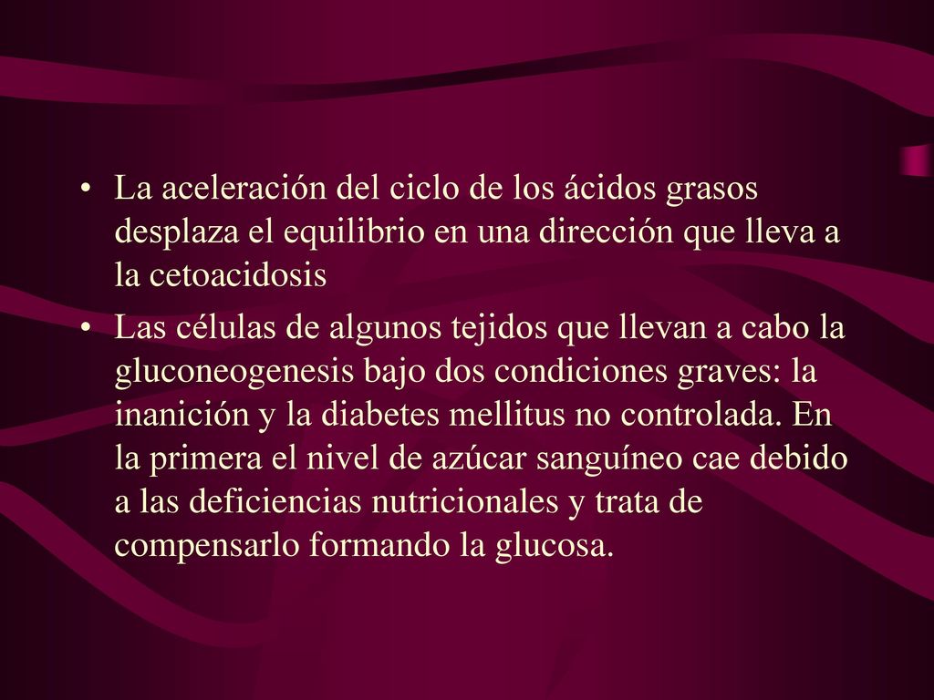 La aceleración del ciclo de los ácidos grasos desplaza el equilibrio en una dirección que lleva a la cetoacidosis