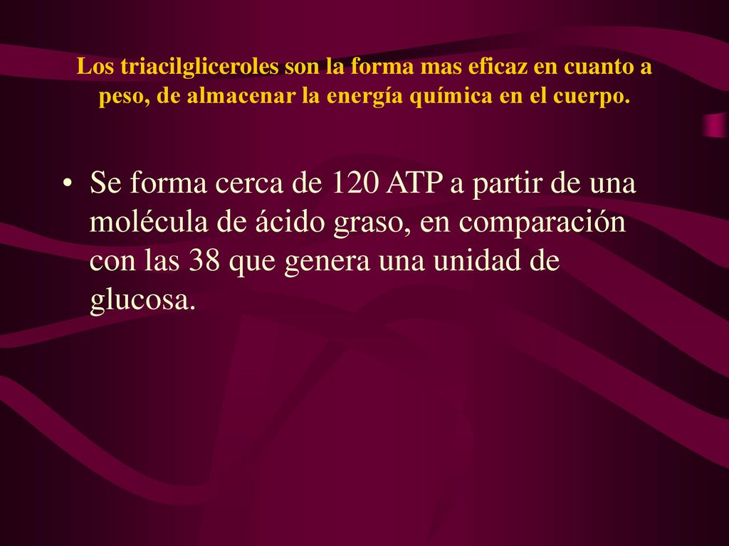 Los triacilgliceroles son la forma mas eficaz en cuanto a peso, de almacenar la energía química en el cuerpo.