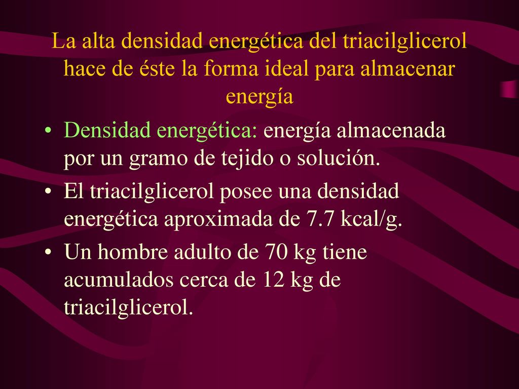 La alta densidad energética del triacilglicerol hace de éste la forma ideal para almacenar energía