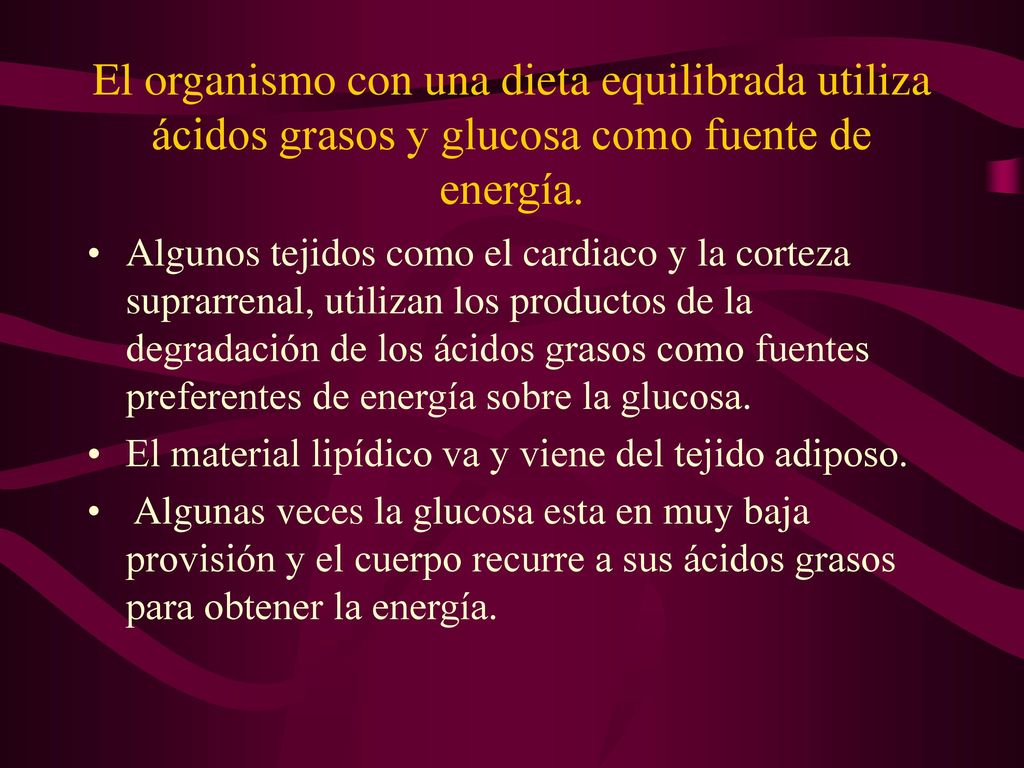 El organismo con una dieta equilibrada utiliza ácidos grasos y glucosa como fuente de energía.