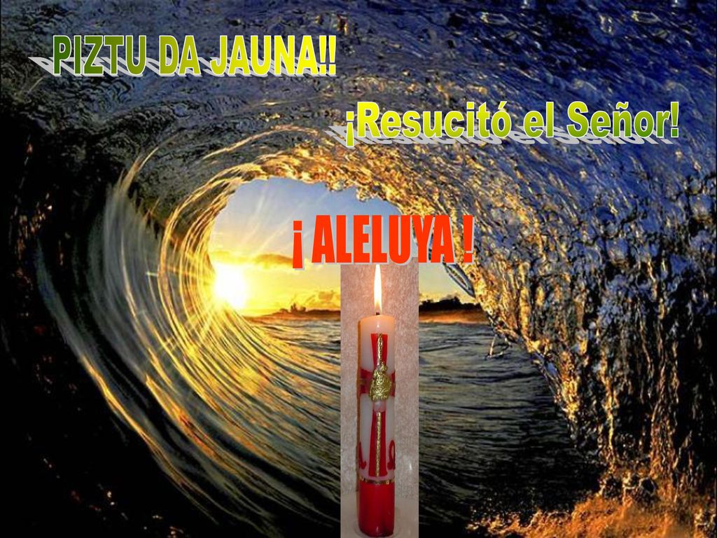 ¡ ALELUYA ! ¡ ALELUYA ! ¡ ALELUYA ! ¡ ALELUYA ! ¡ ALELUYA !