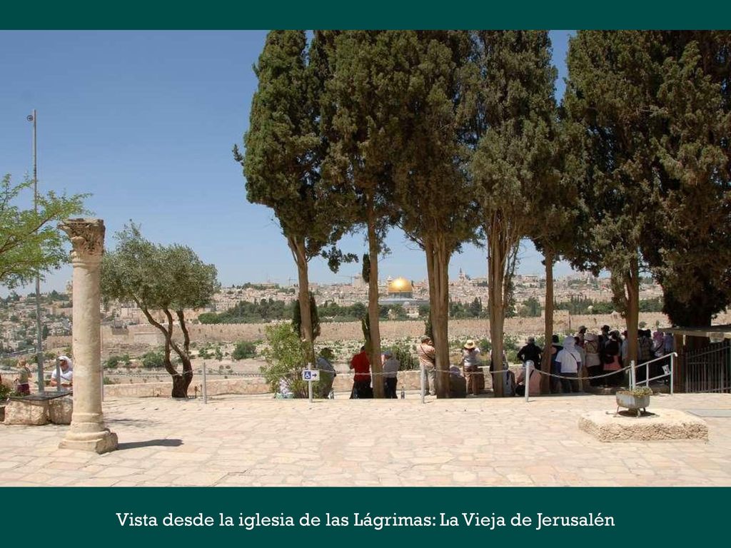 Vista desde la iglesia de las Lágrimas: La Vieja de Jerusalén