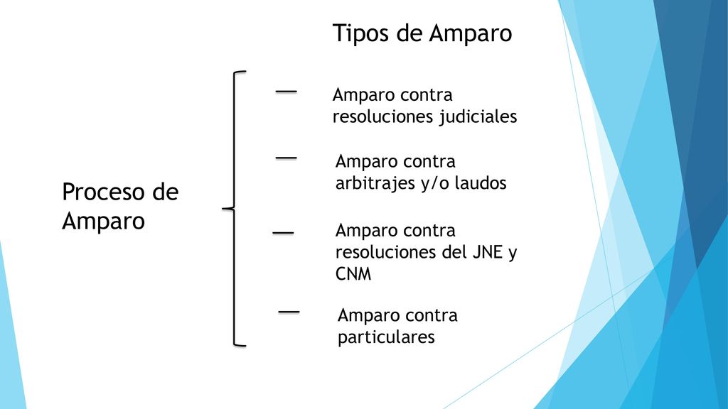 Tipos de Amparo Proceso de Amparo