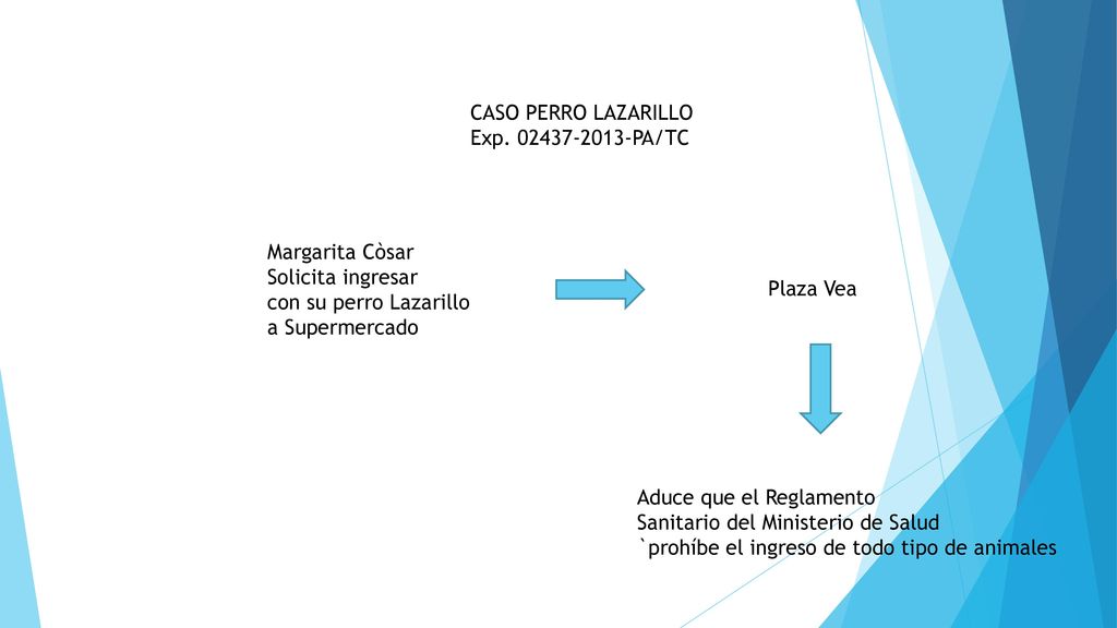 CASO PERRO LAZARILLO Exp PA/TC. Margarita Còsar. Solicita ingresar. con su perro Lazarillo.