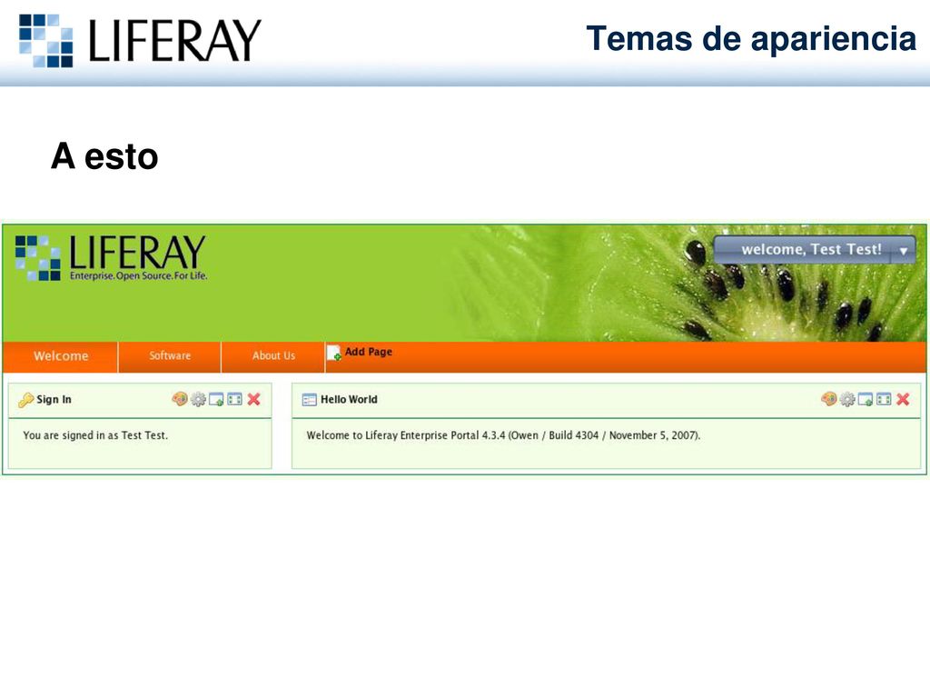 Temas de apariencia Algunos temas de apariencia sólo requieren de un fichero CSS y algunas imágenes para pasar de esto: