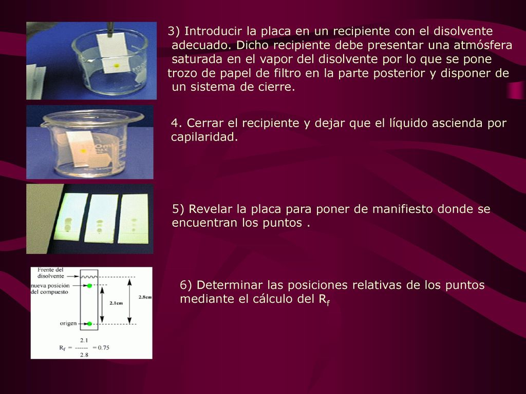 3) Introducir la placa en un recipiente con el disolvente