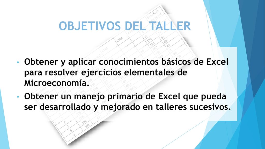 OBJETIVOS DEL TALLER Obtener y aplicar conocimientos básicos de Excel para resolver ejercicios elementales de Microeconomía.