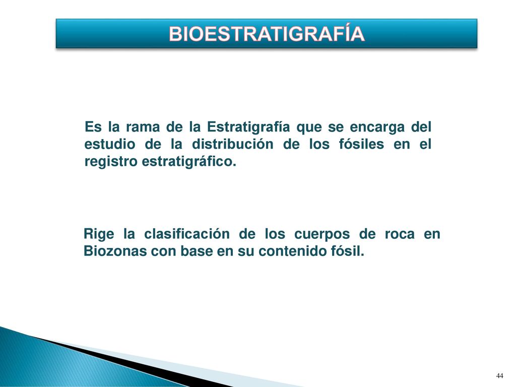 bioestratigrafía Es la rama de la Estratigrafía que se encarga del estudio de la distribución de los fósiles en el registro estratigráfico.