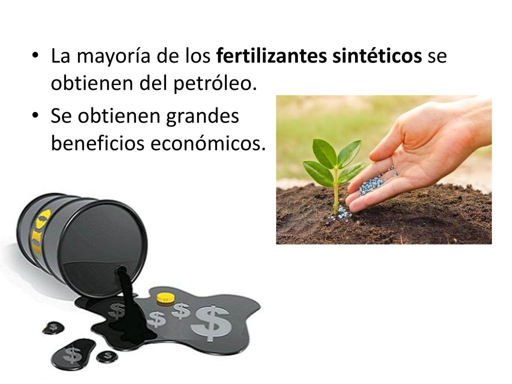 La mayoría de los fertilizantes sintéticos se obtienen del petróleo.
