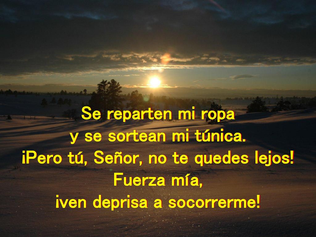 ¡Pero tú, Señor, no te quedes lejos! ¡ven deprisa a socorrerme!