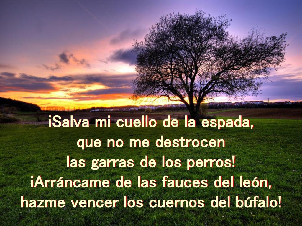 ¡Salva mi cuello de la espada, que no me destrocen