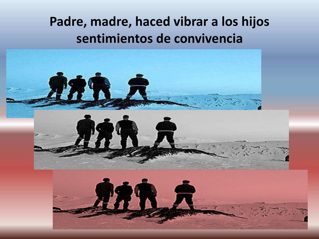 Padre, madre, haced vibrar a los hijos sentimientos de convivencia