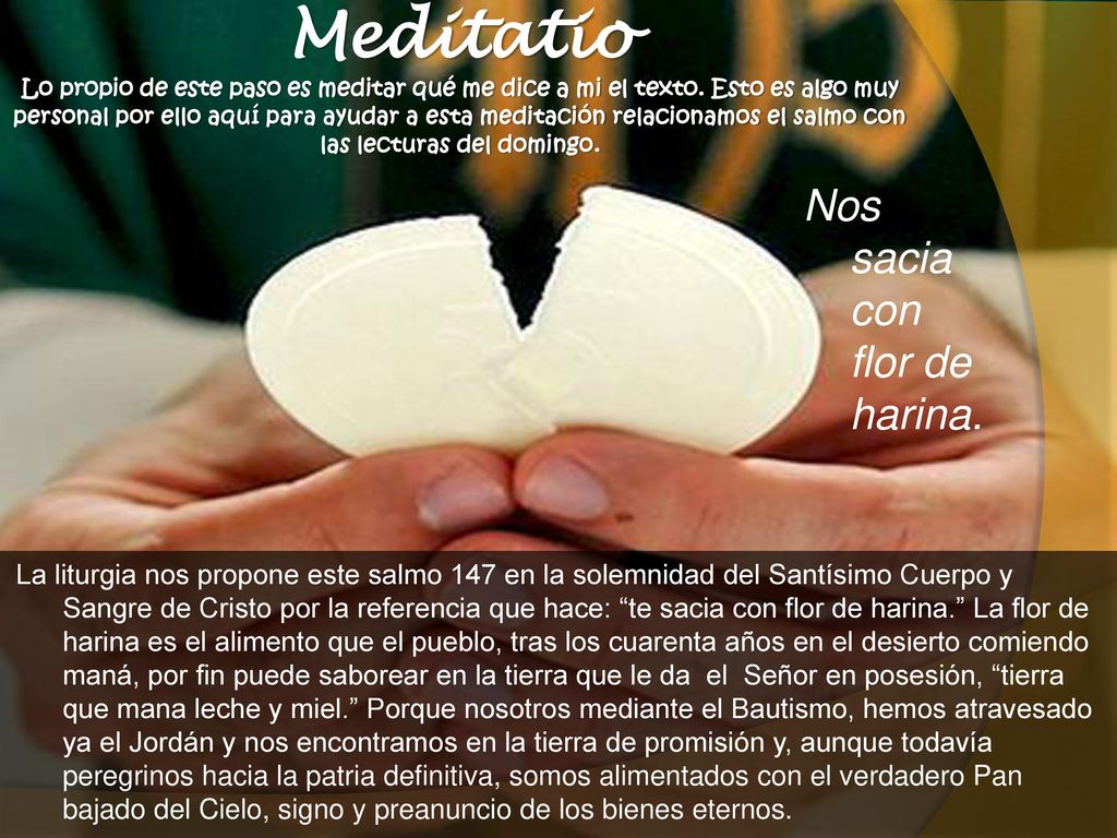 Meditatio Lo propio de este paso es meditar qué me dice a mi el texto