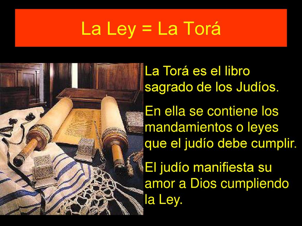 La Ley = La Torá La Torá es el libro sagrado de los Judíos.