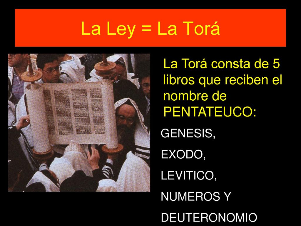 La Ley = La Torá La Torá consta de 5 libros que reciben el nombre de PENTATEUCO: GENESIS, EXODO, LEVITICO,