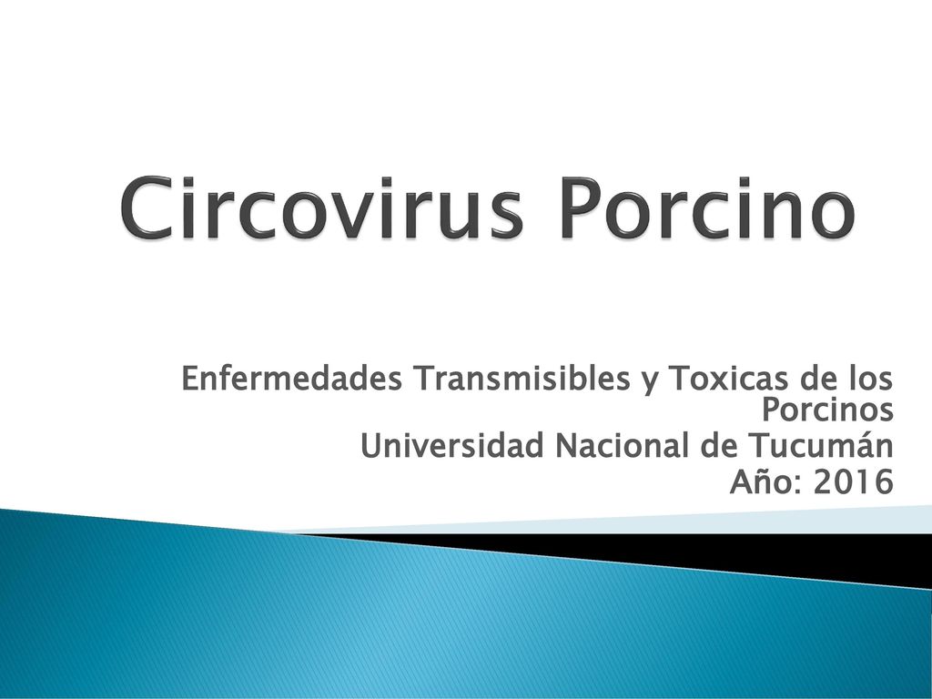 Circovirus Porcino Enfermedades Transmisibles y Toxicas de los Porcinos. Universidad Nacional de Tucumán.