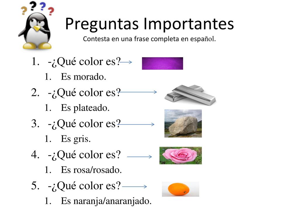 Preguntas Importantes Contesta en una frase completa en español.