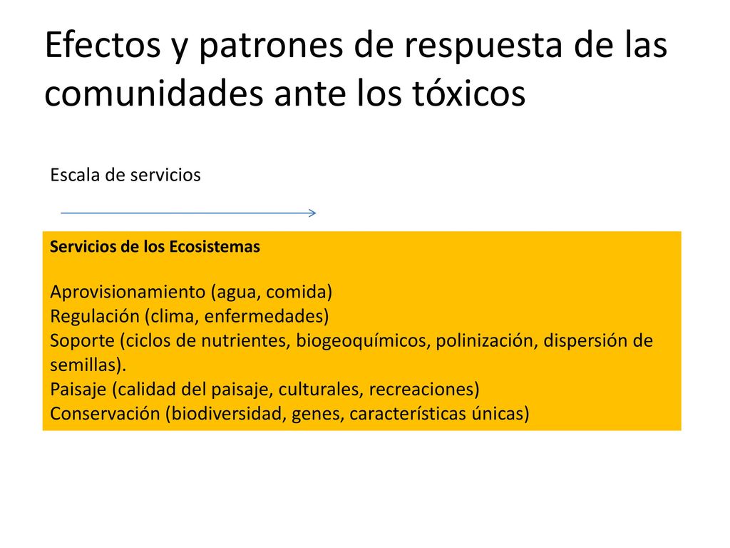 Efectos y patrones de respuesta de las comunidades ante los tóxicos