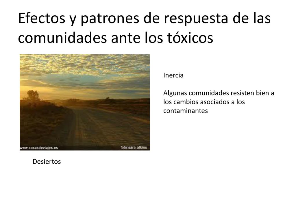 Efectos y patrones de respuesta de las comunidades ante los tóxicos