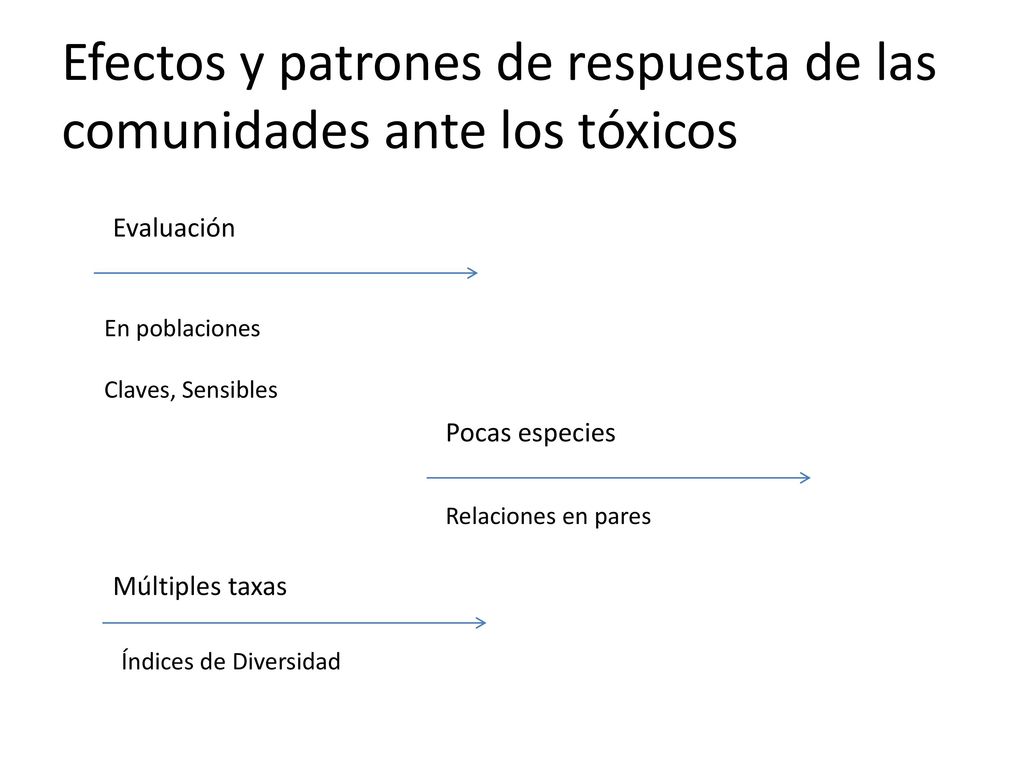 Efectos y patrones de respuesta de las comunidades ante los tóxicos