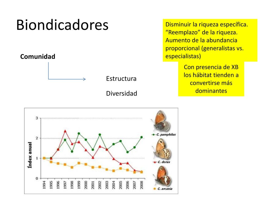 Con presencia de XB los hábitat tienden a convertirse más dominantes
