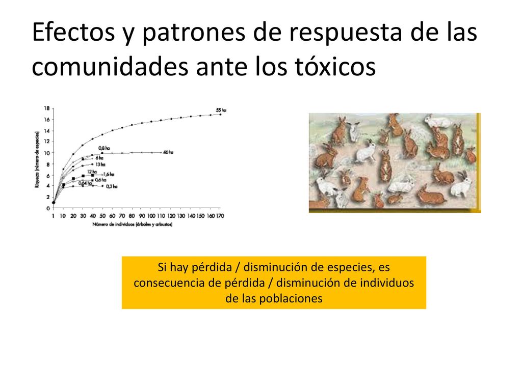 Efectos y patrones de respuesta de las comunidades ante los tóxicos