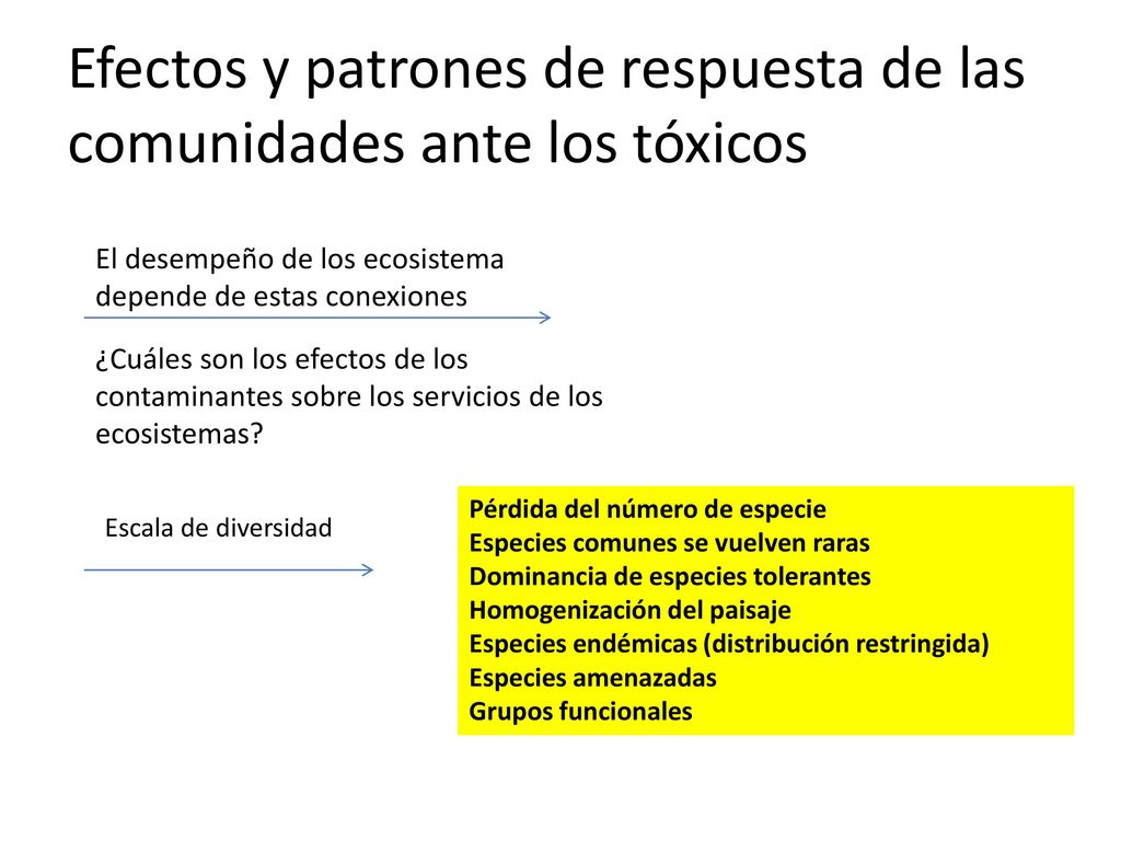 Efectos y patrones de respuesta de las comunidades ante los tóxicos