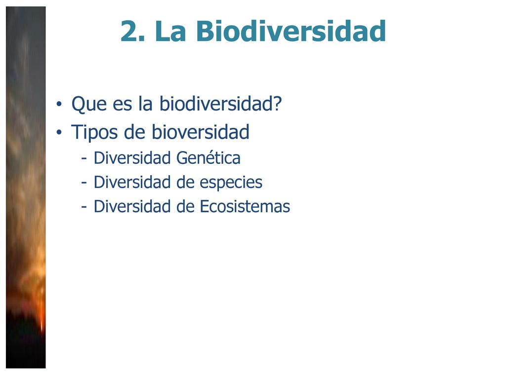 2. La Biodiversidad Que es la biodiversidad Tipos de bioversidad