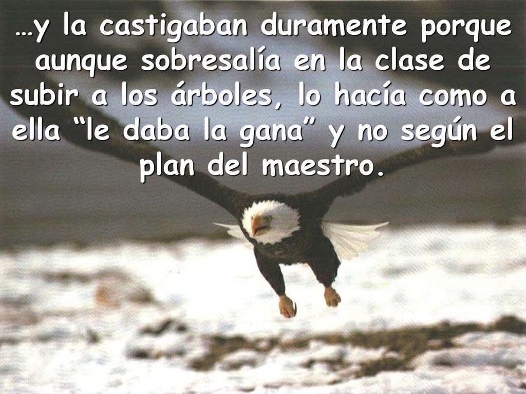 …y la castigaban duramente porque aunque sobresalía en la clase de subir a los árboles, lo hacía como a ella le daba la gana y no según el plan del maestro.