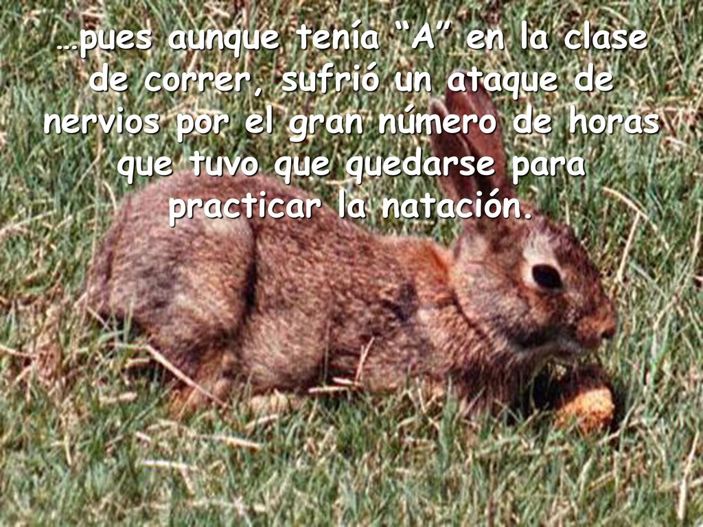 …pues aunque tenía A en la clase de correr, sufrió un ataque de nervios por el gran número de horas que tuvo que quedarse para practicar la natación.