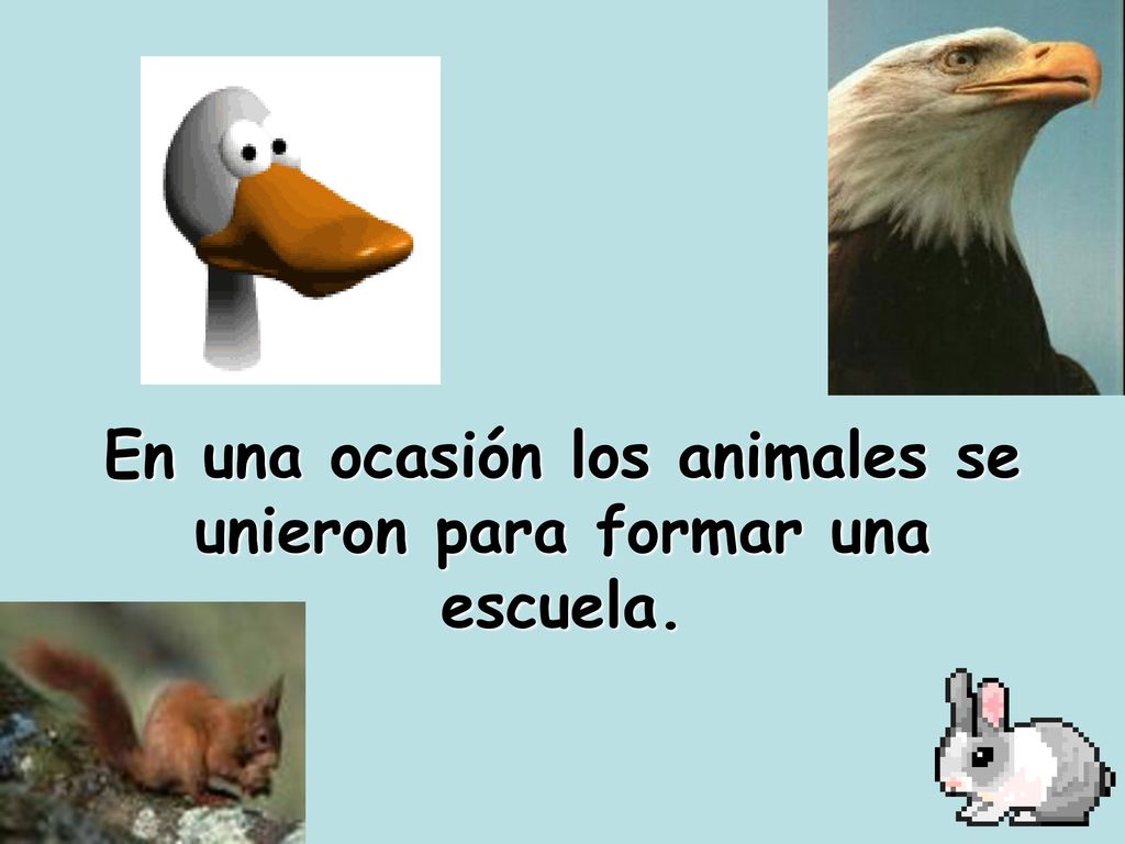 En una ocasión los animales se unieron para formar una escuela.