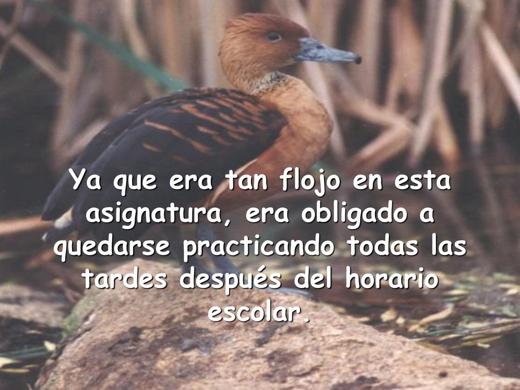 Ya que era tan flojo en esta asignatura, era obligado a quedarse practicando todas las tardes después del horario escolar.