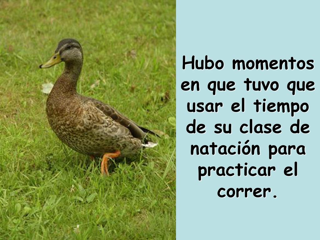 Hubo momentos en que tuvo que usar el tiempo de su clase de natación para practicar el correr.