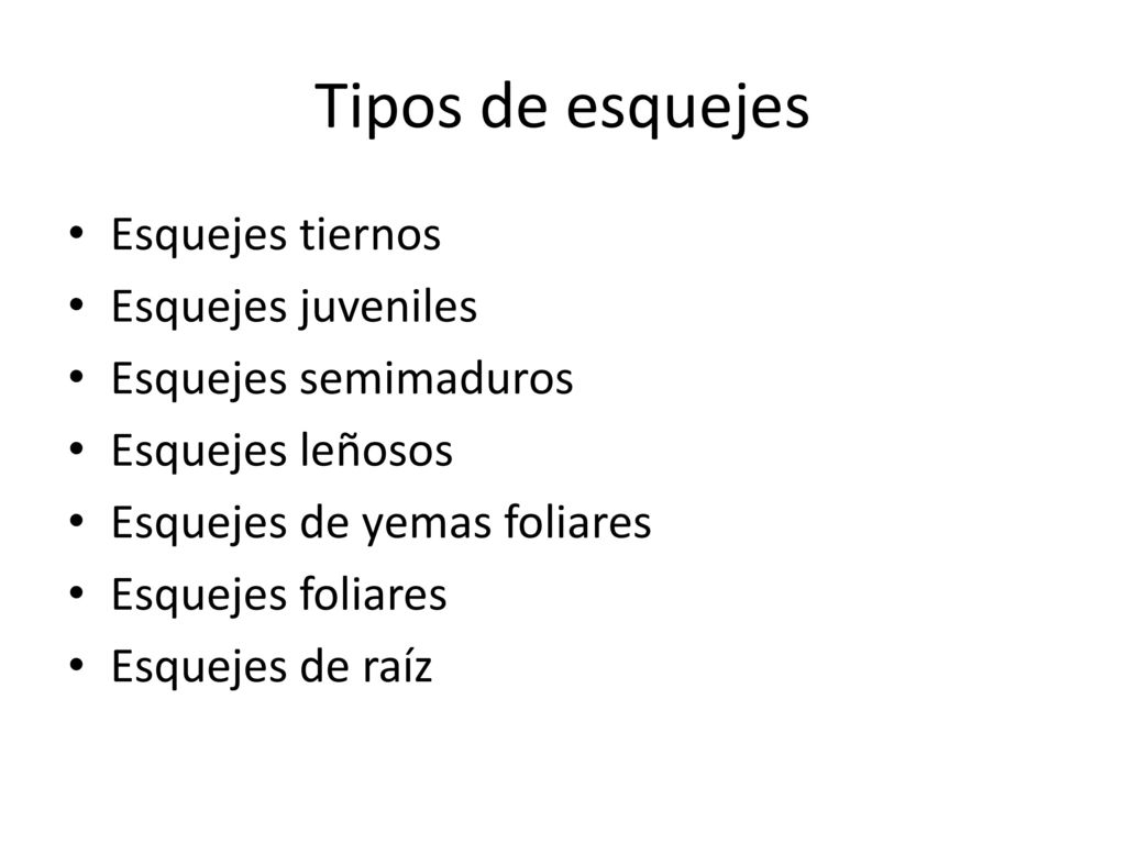 Tipos de esquejes Esquejes tiernos Esquejes juveniles