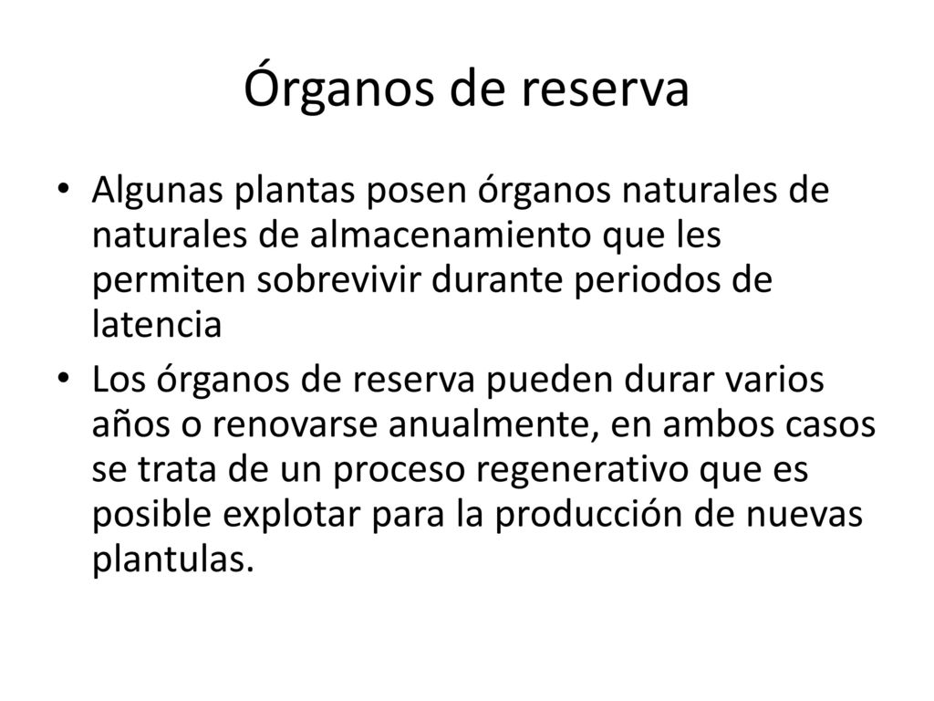 Órganos de reserva Algunas plantas posen órganos naturales de naturales de almacenamiento que les permiten sobrevivir durante periodos de latencia.