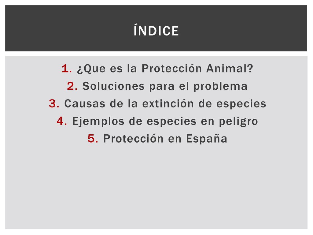 íNDICE ¿Que es la Protección Animal Soluciones para el problema