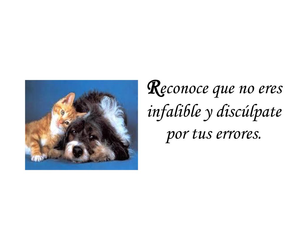 Reconoce que no eres infalible y discúlpate por tus errores.