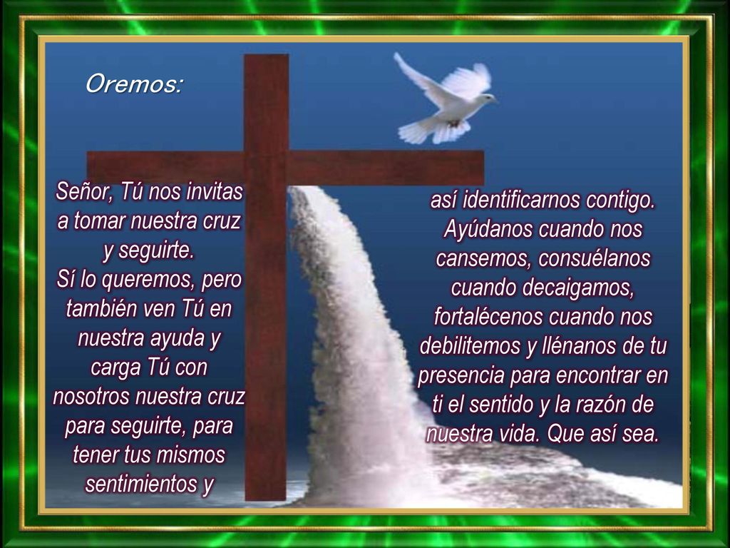 Señor, Tú nos invitas a tomar nuestra cruz y seguirte.