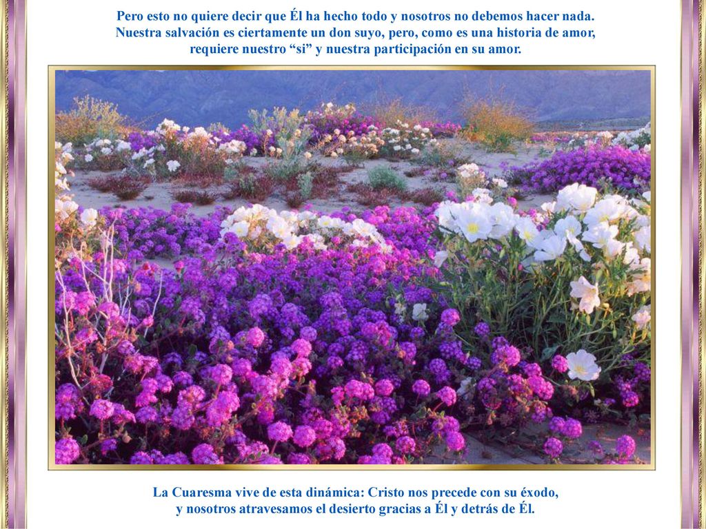 requiere nuestro si y nuestra participación en su amor.