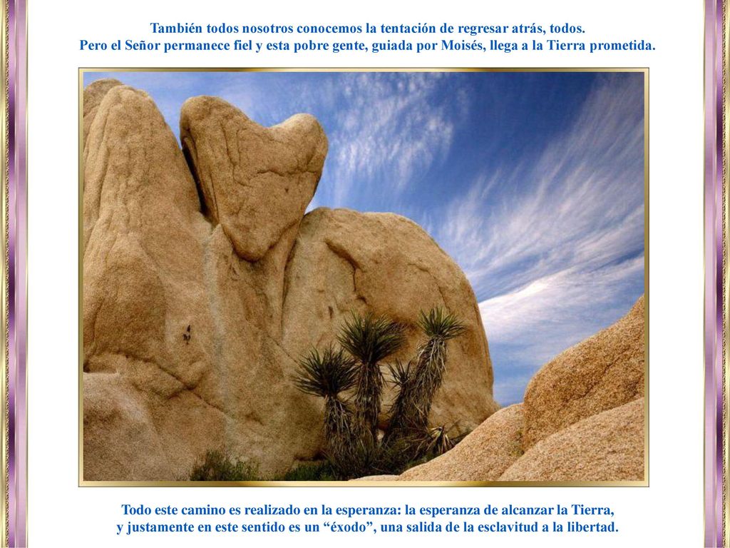 También todos nosotros conocemos la tentación de regresar atrás, todos.