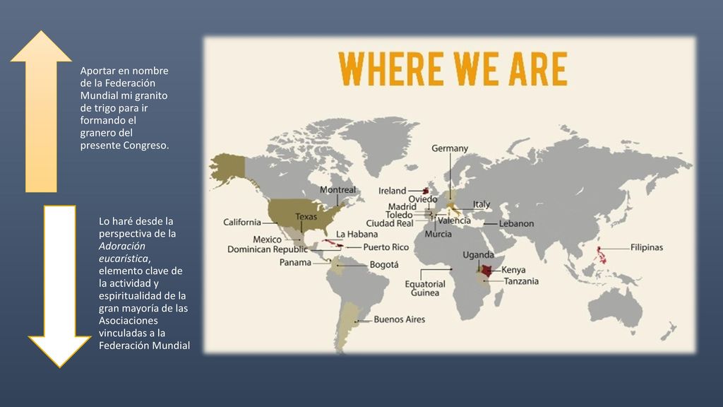 Aportar en nombre de la Federación Mundial mi granito de trigo para ir formando el granero del presente Congreso.