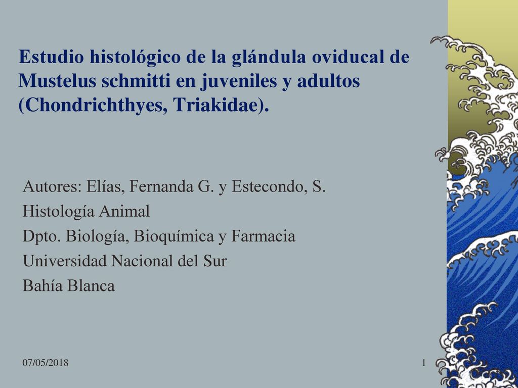 Estudio histológico de la glándula oviducal de Mustelus schmitti en juveniles y adultos (Chondrichthyes, Triakidae).